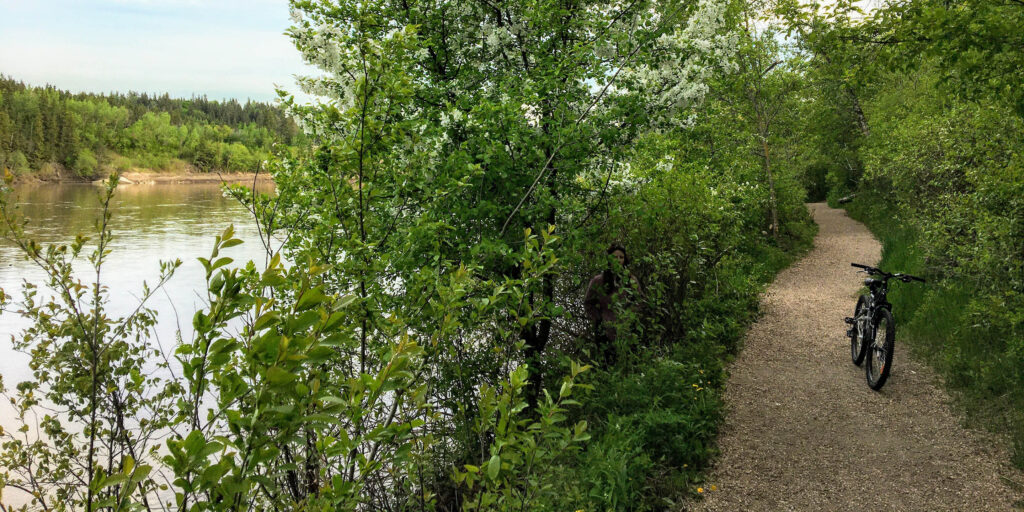 A bike resting along a bike bath trail through the woods beside the North Saskatchewan River in the Edmonton River Valley.