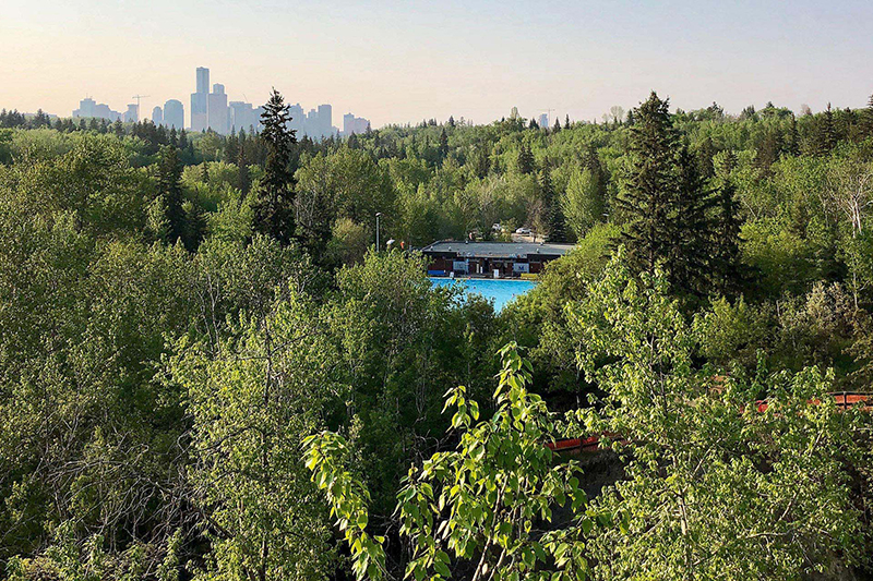 An aerial view of the Mill Creek Ravine, the Mill Creek pool surrounded by lush green forest, with a hazy downtown Edmonton in the background.