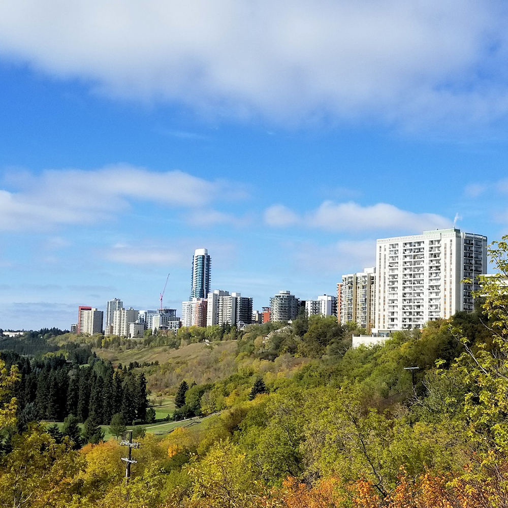 Apartment buildings in Oliver sit atop Edmonton's River Valley.