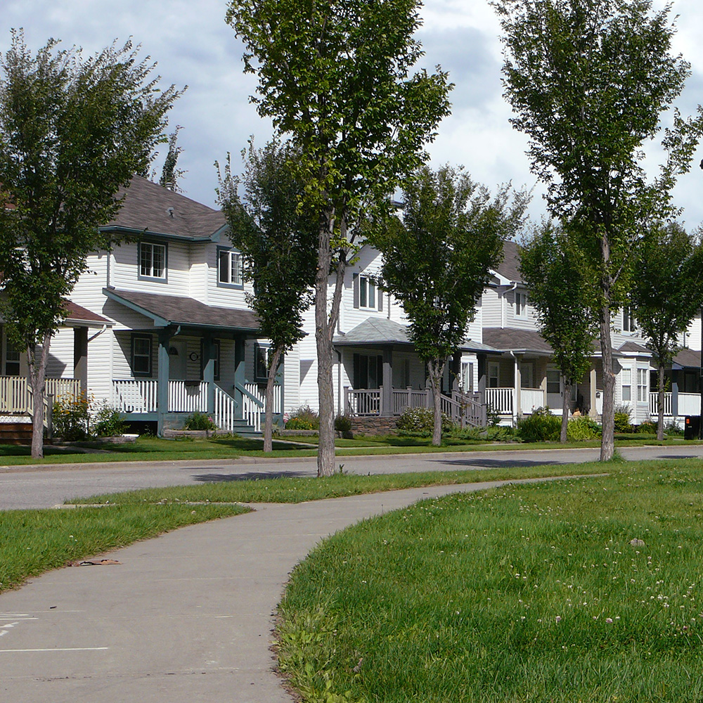 A row of homes in Riverbend, Edmonton. A sidewalk curves in the foreground, surrounded by green grass and tall thin trees.