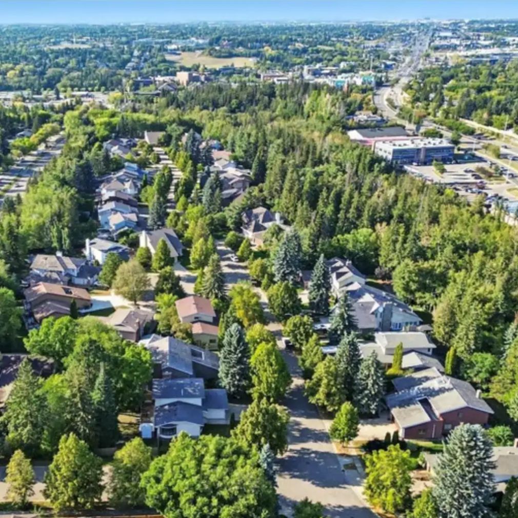 Aerial view of a tree-lined residential neighborhood in St. Albert, Alberta. The photo shows a mix of single-family homes surrounded by lush green trees, with main roads running through the community and commercial buildings visible in the distance under a bright, clear sky.