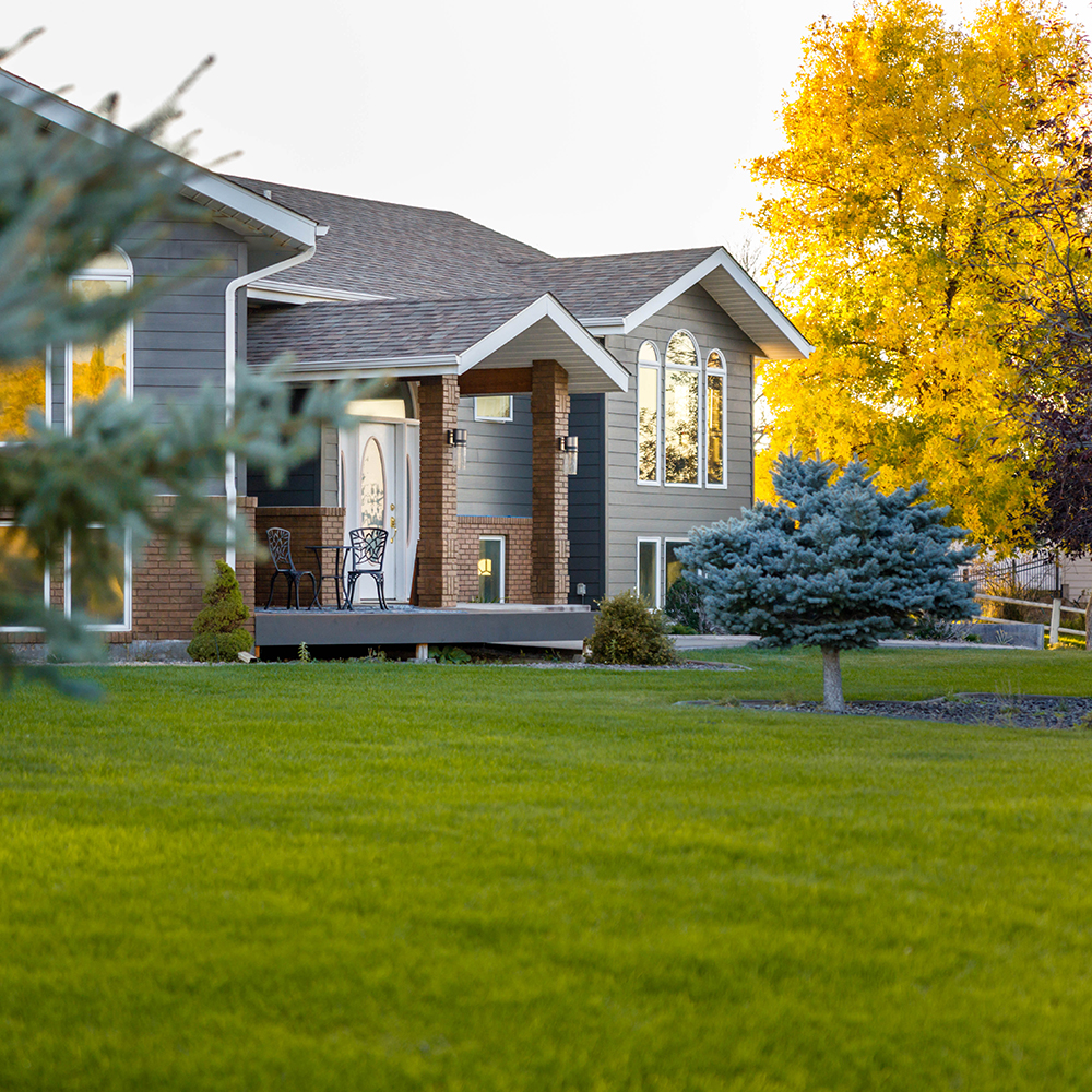 Beautiful two-story house surrounded by lush green grass and tall golden trees in the backyard.