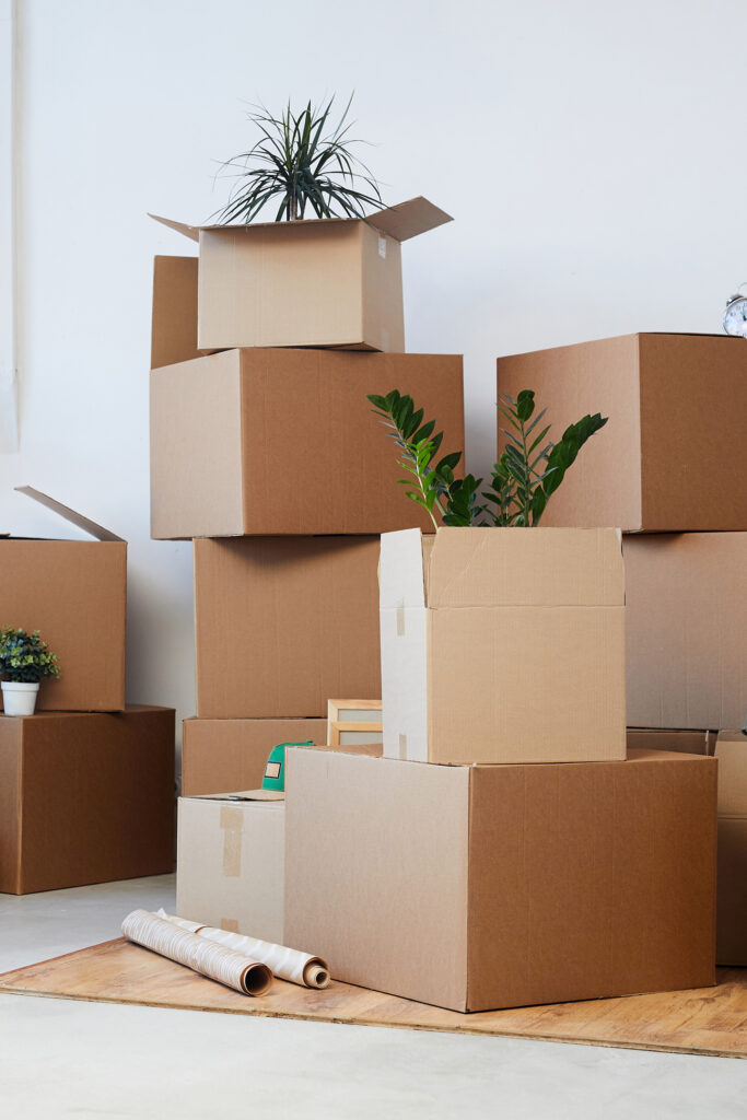 Minimal background image of cardboard boxes stacked in empty room with plants and personal belongings inside.